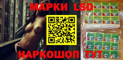 шишки Сланцы