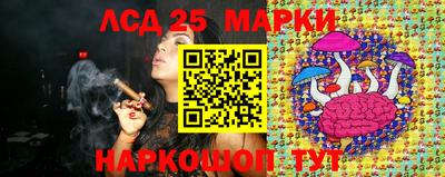 шишки Сланцы