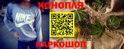 шишки Сланцы