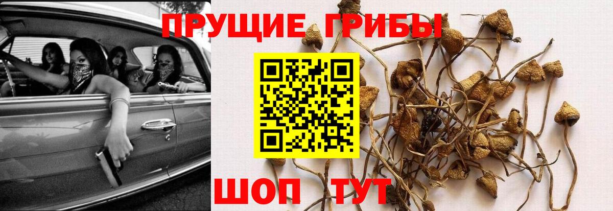 Галлюциногенные грибы мухоморы Мариинск